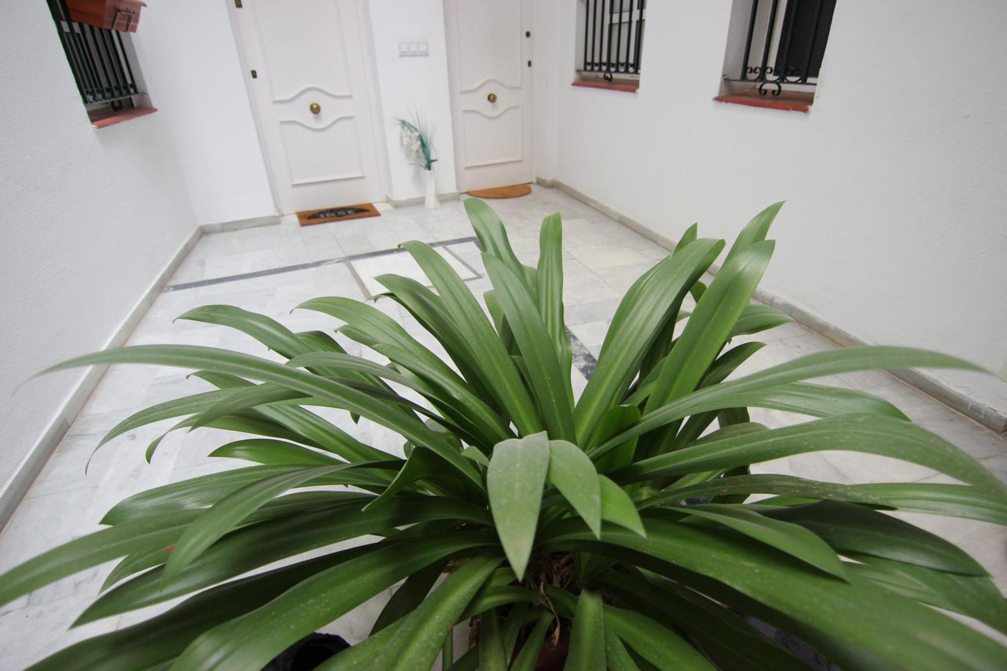 Apartamento Corazón de Triana Sevilha Exterior foto